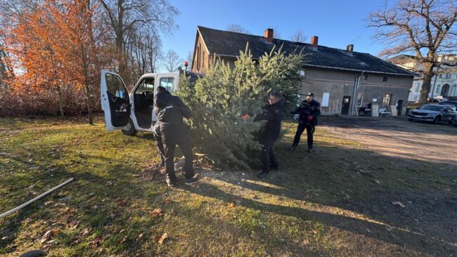 IMG 20241201 WA0015 Kopie