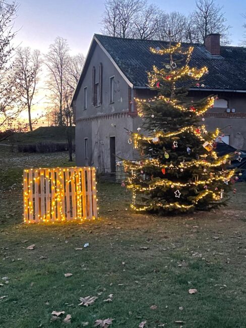 IMG 20241201 WA0019 Kopie