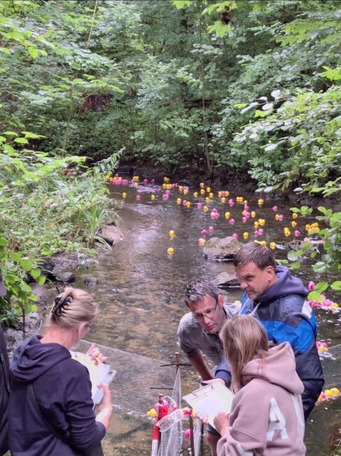 Screenshot 20250803 173822 WhatsApp