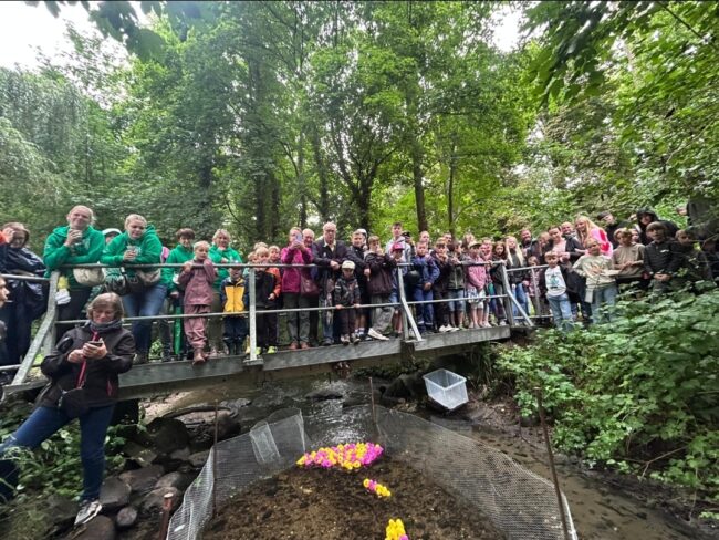 Screenshot 20250803 173834 WhatsApp